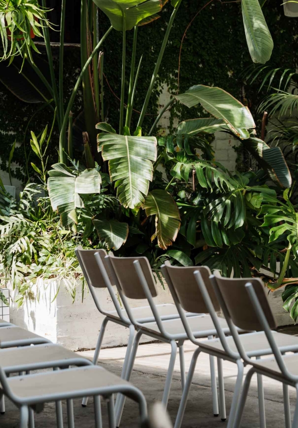 Melbourne venue, The Button Factory Garden room featuring lush green ferns and greenery